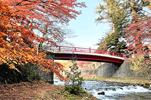 Maple Tree Mountain